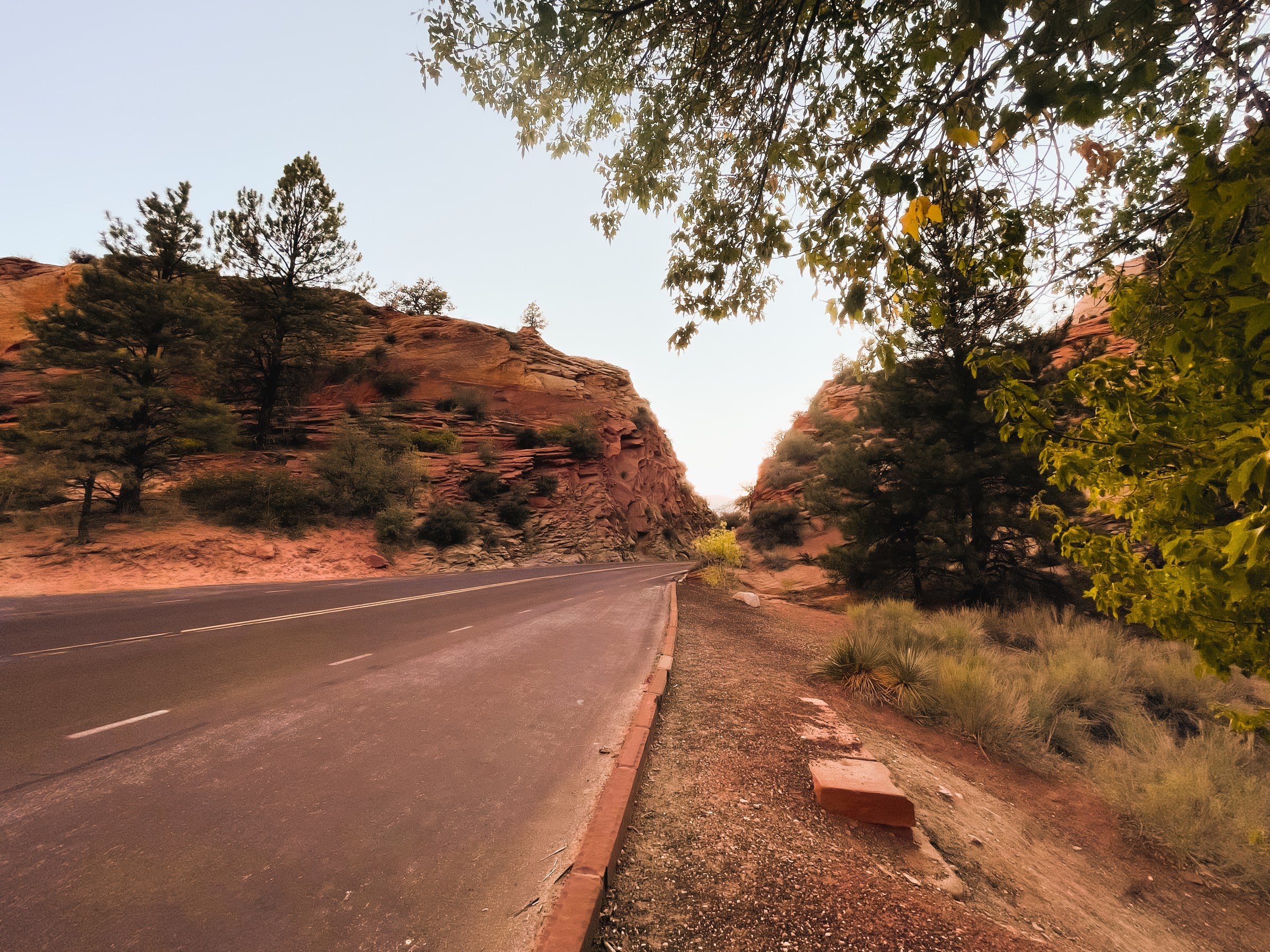 A road passing between red rock formations and trees.